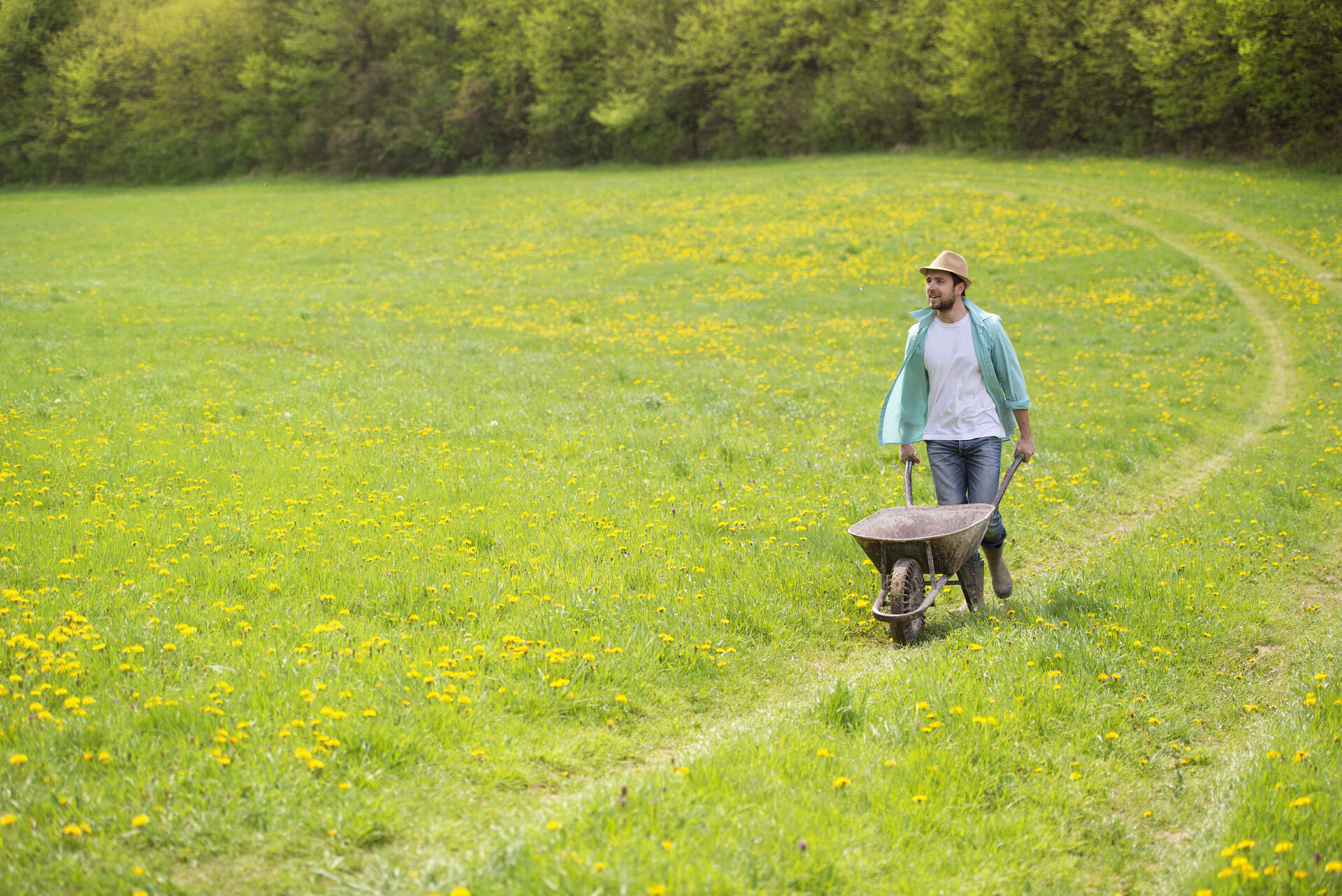 Productor agropecuario con carretilla caminando por un campo verde con flores amarillas