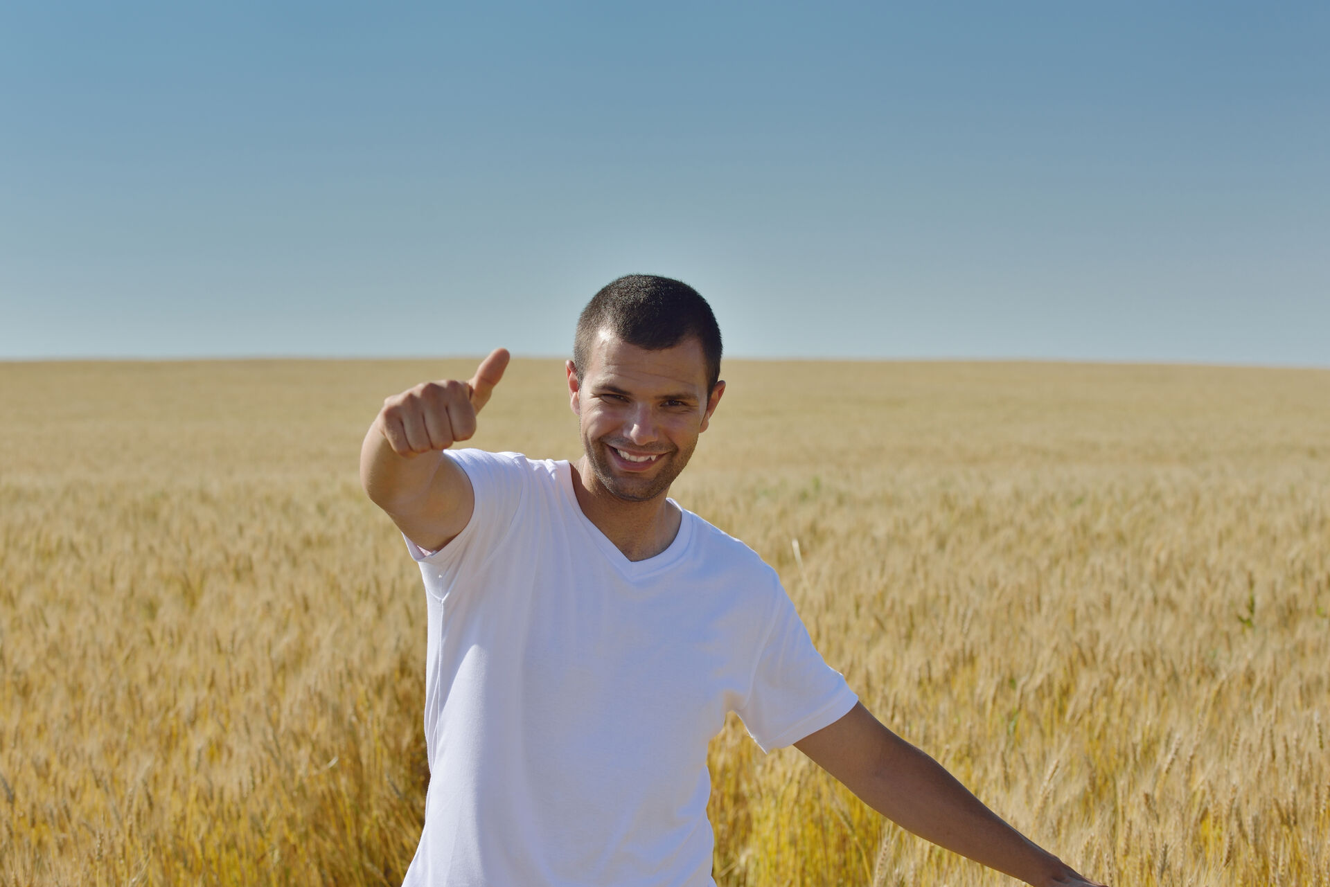 Ingeniero agrónomo en plena recorrida semanal, en un lote de trigo en madurez