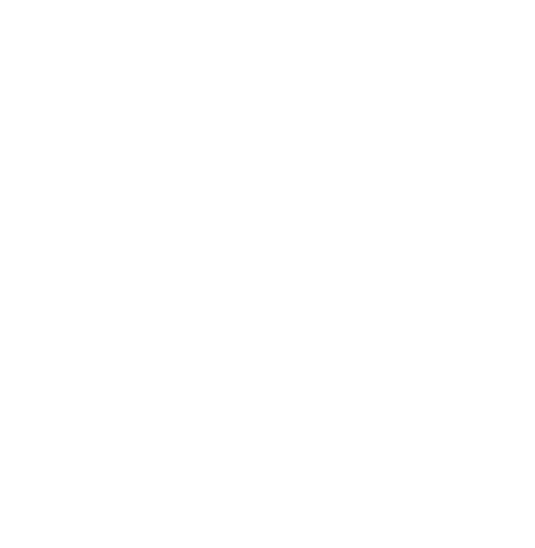icon delivery